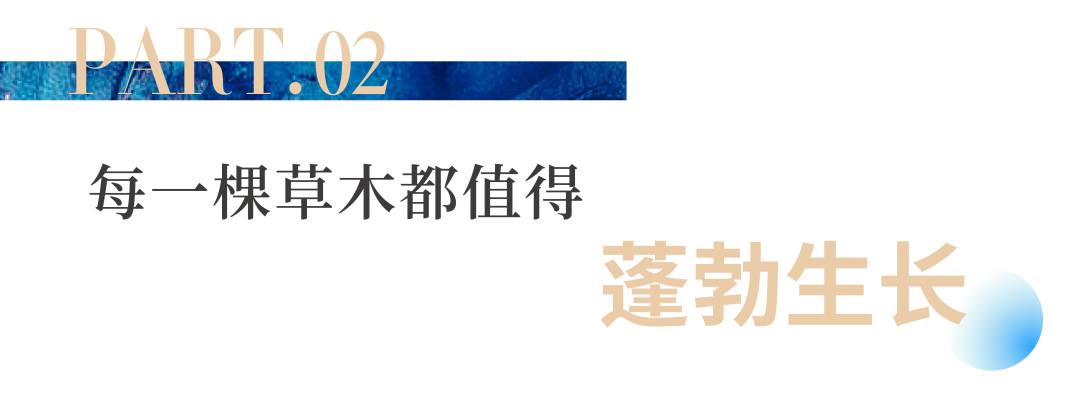eb30a062-d58d-453b-84fd-a3af0a7c9b85 eb30a062-d58d-453b-84fd-a3af0a7c9b85